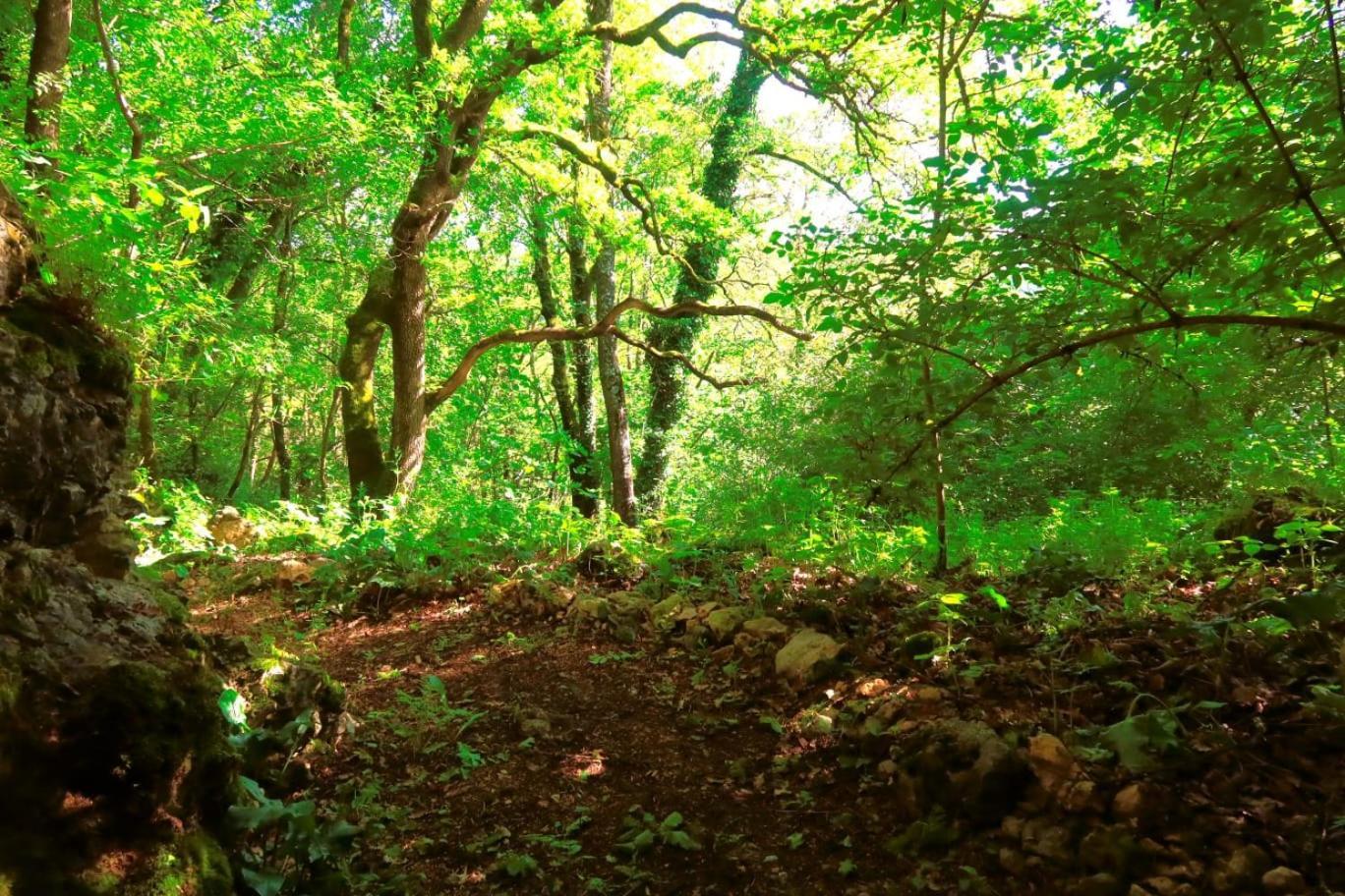 Gite L' Embrassement Le Luquet Saint Beauzeil 82 Dış mekan fotoğraf